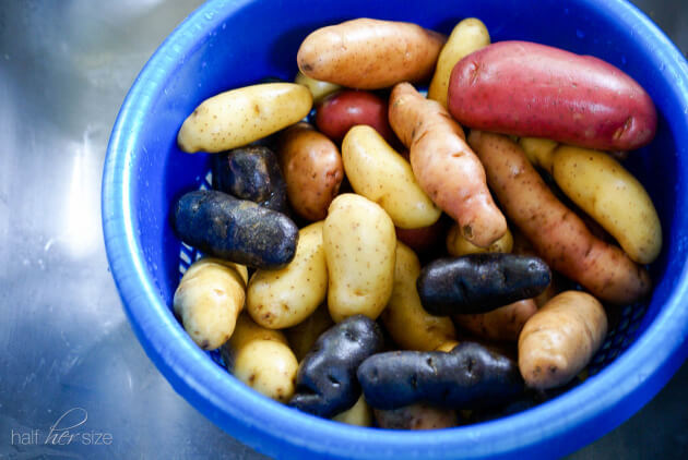 rainbow fingerling potatoes